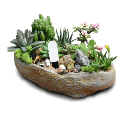 Plant Monitor – Digital Hygrometer
