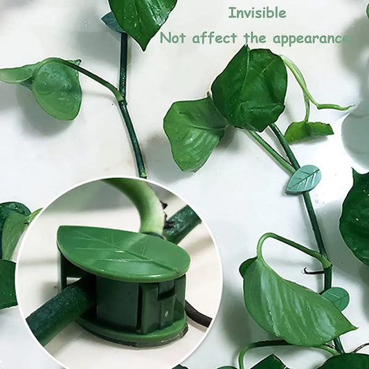 Leaf Shape Plant Climbing Wall Bracket Clips