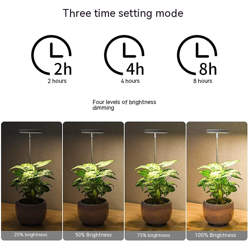 Garden Glow USB Lamp