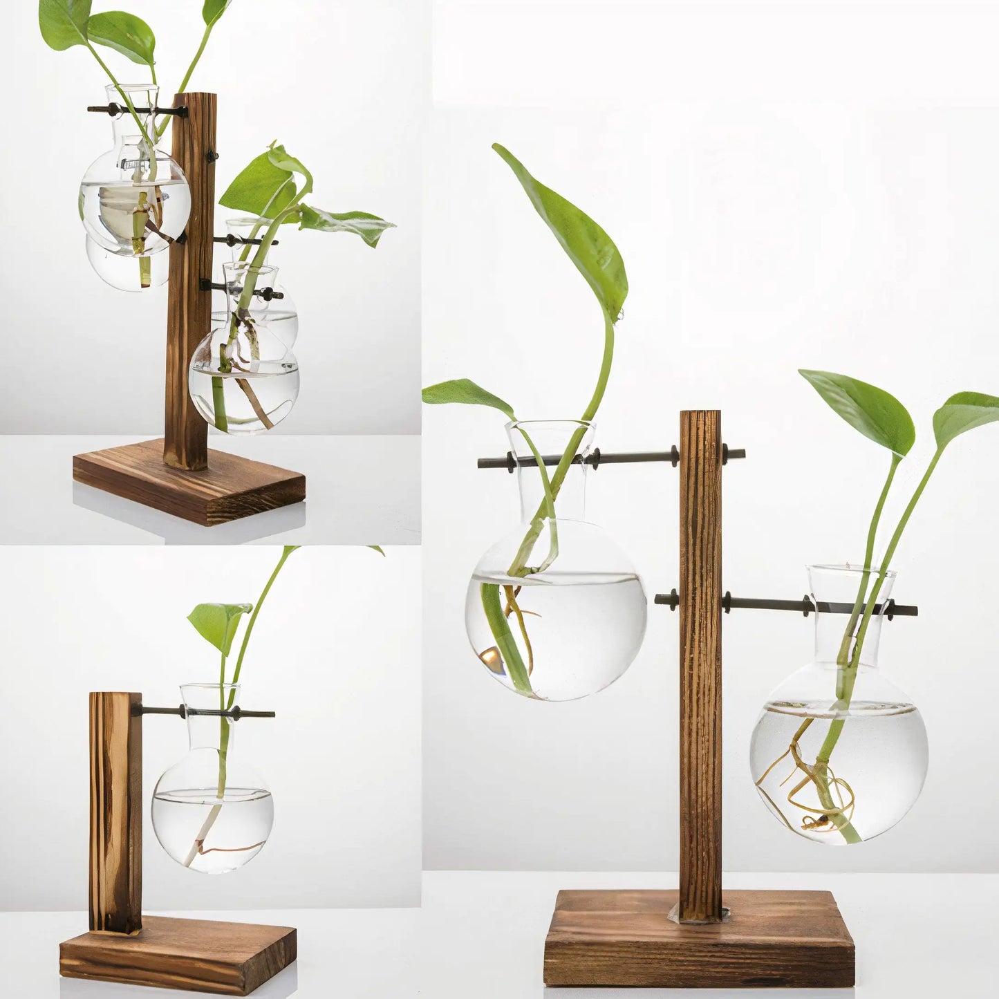 Twin Bloom Glass Vases
