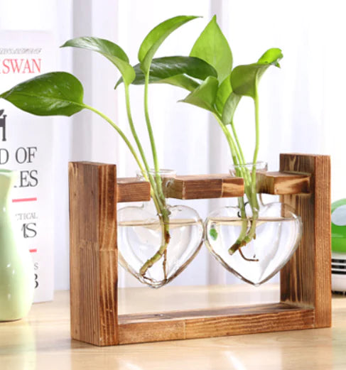 Creative Transparent Plant Medium Wooden Stand with Hydroponic Container