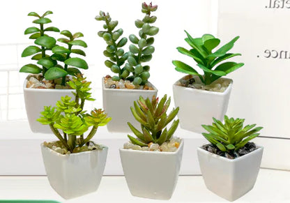 Miniature Faux Succulent Cactus Indoor Plant Pot