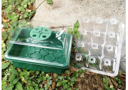 Seedling Starter Kit
