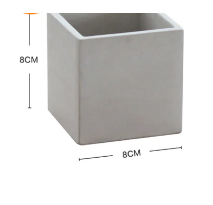 Creative Cement Planter for Succulents