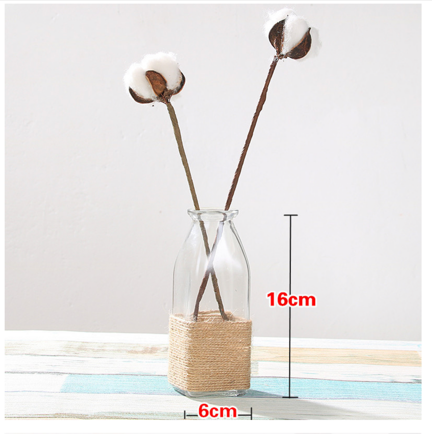 Creative Glass Vase for Home Decor with Plants