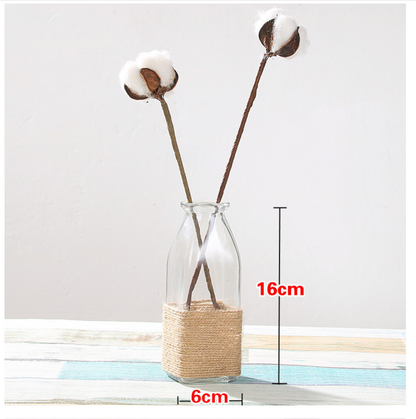 Creative Glass Vase for Home Decor with Plants