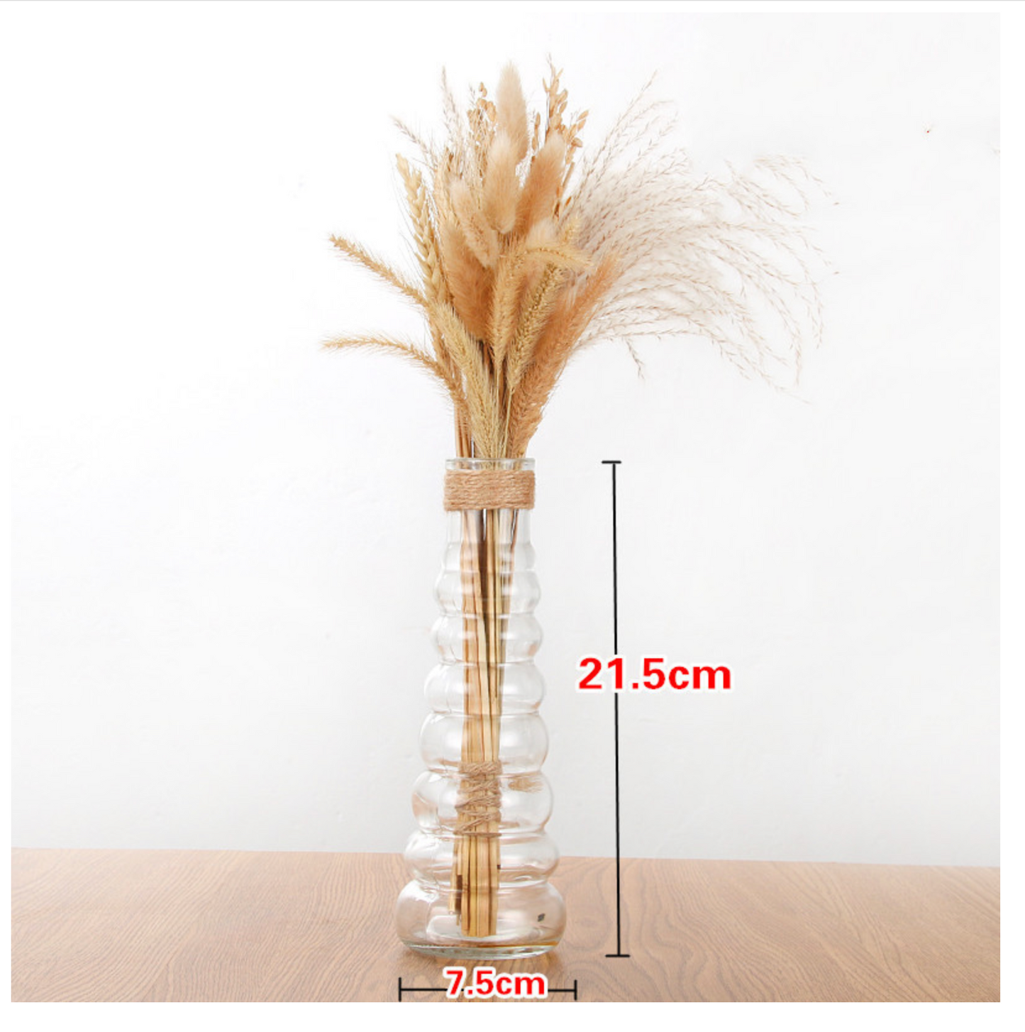 Creative Glass Vase for Home Decor with Plants