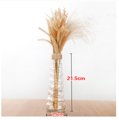 Creative Glass Vase for Home Decor with Plants