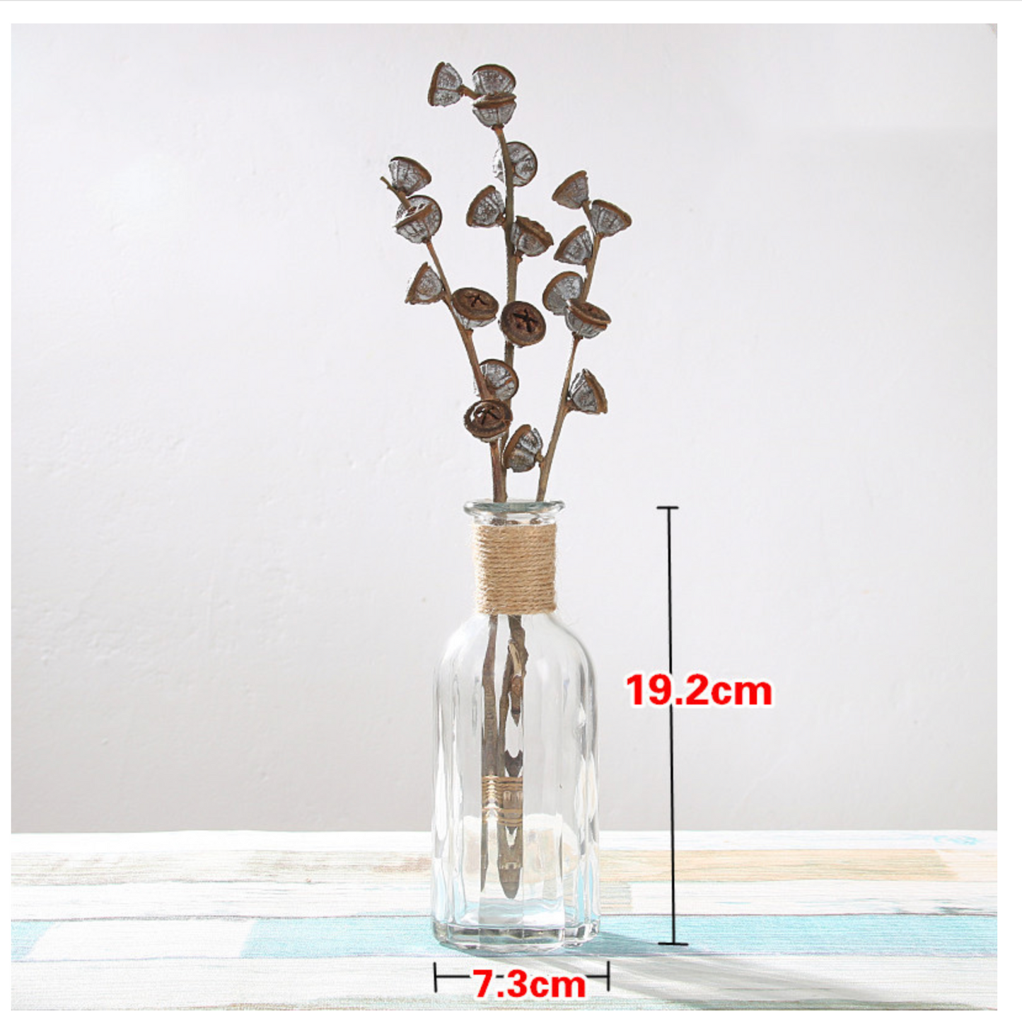 Creative Glass Vase for Home Decor with Plants