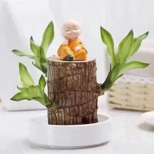 Plant Holder