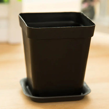 Planter for Gardening
