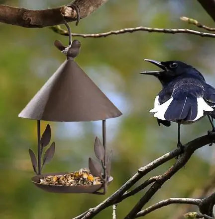 Iron Bird Feeder
