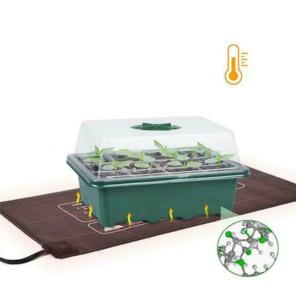 Seedling Starter Kit