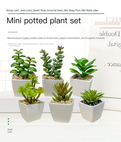 Miniature Faux Succulent Cactus Indoor Plant Pot