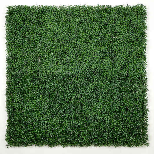 Eternal Green Boxwood Panel 40x40