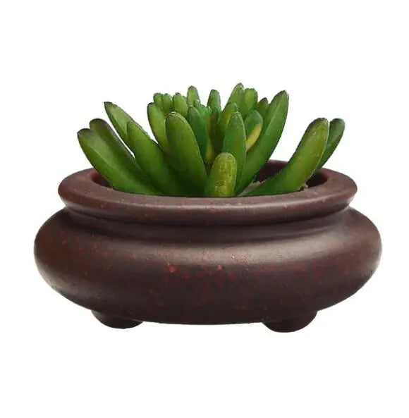 Mini Potted Plant