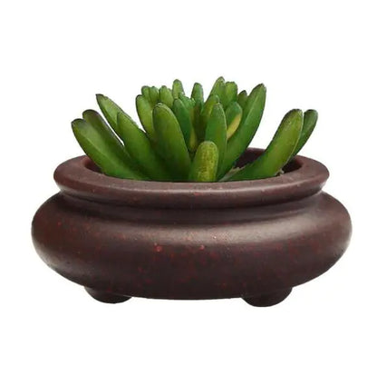Mini Potted Plant