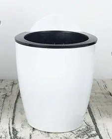 Dino Egg Self-Watering Planter