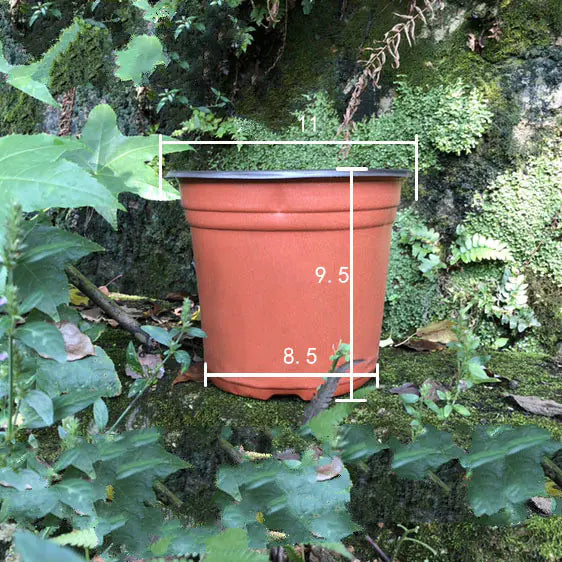 Durable Plastic Two-Color Seedling Pots and Trays