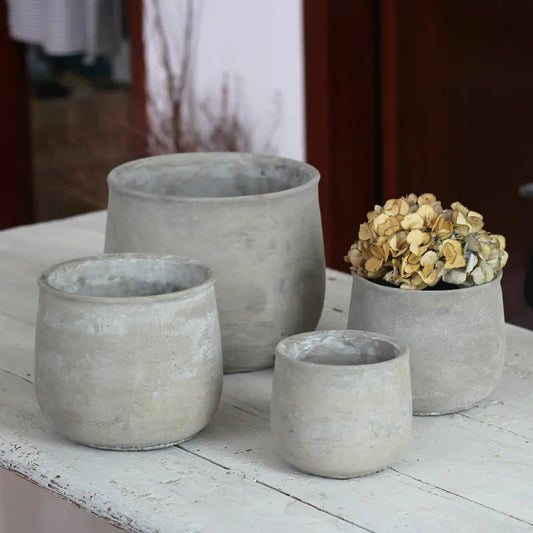Elegant Grey Cement Planter