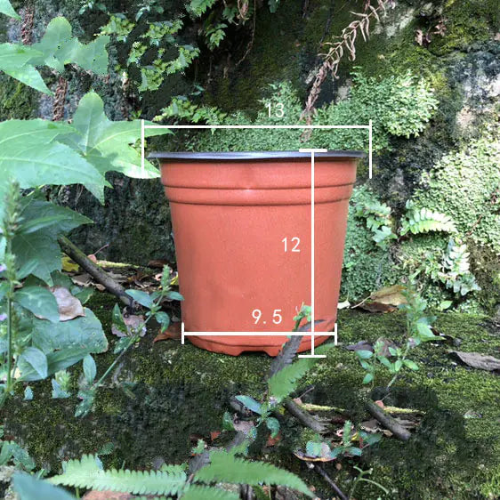 Durable Plastic Two-Color Seedling Pots and Trays