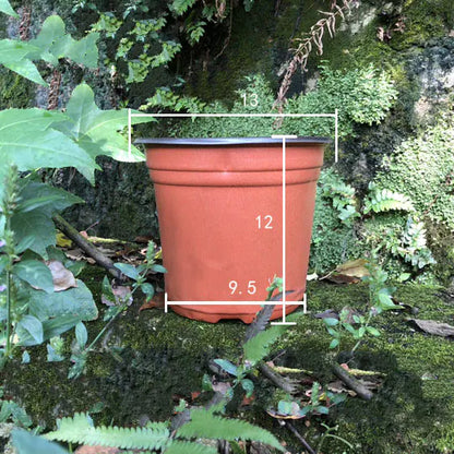 Durable Plastic Two-Color Seedling Pots and Trays