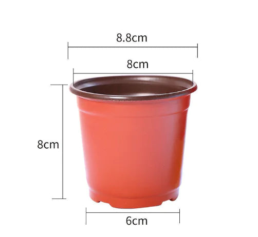 Durable Plastic Two-Color Seedling Pots and Trays