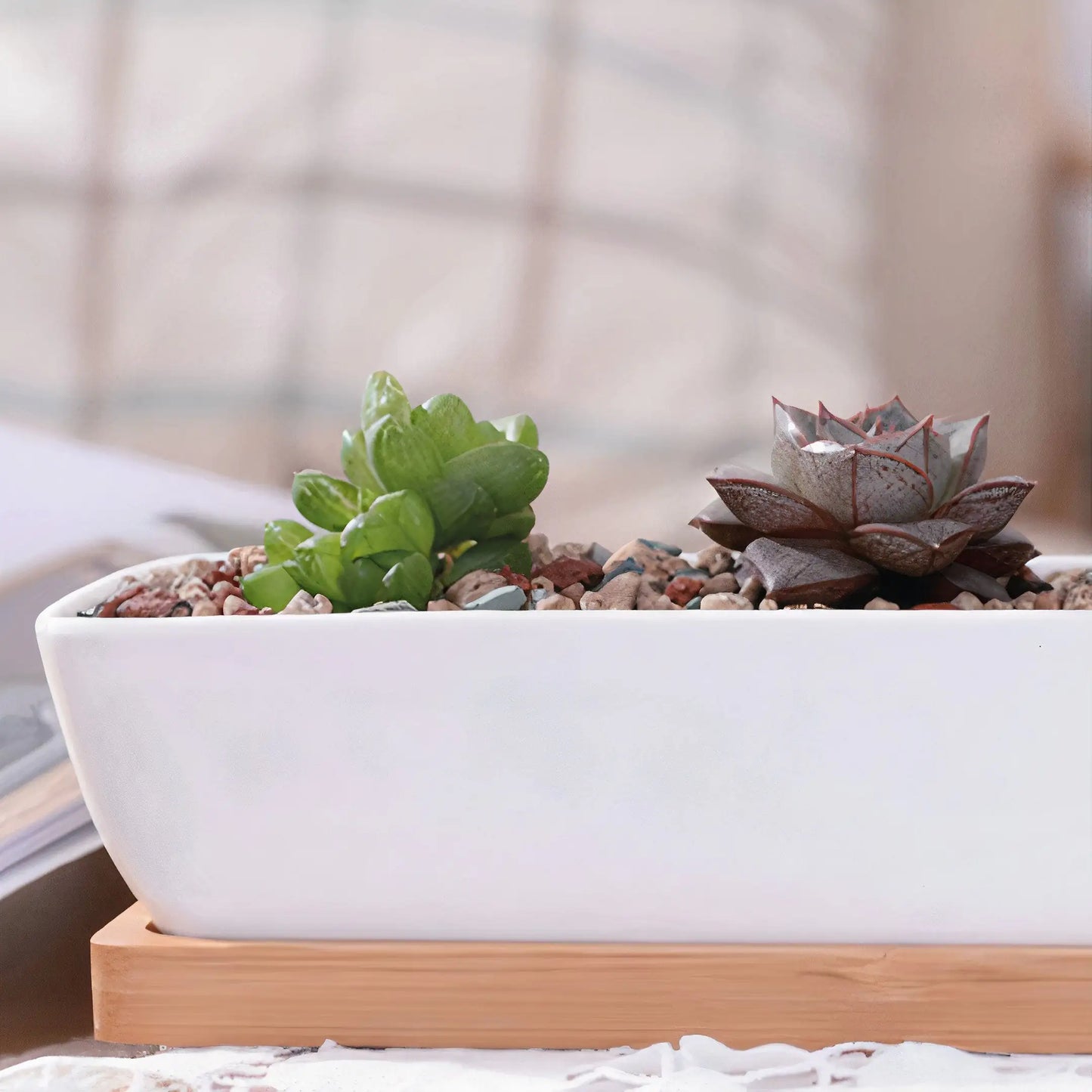Ceramic Long Succulent Pot