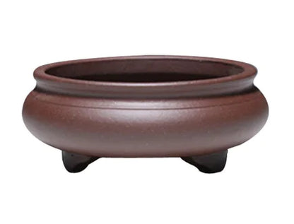 Mini Potted Plant