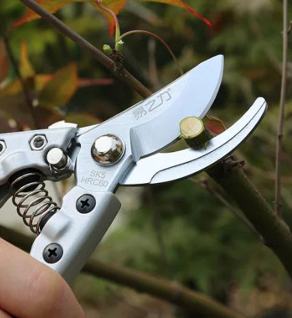Garden Shears