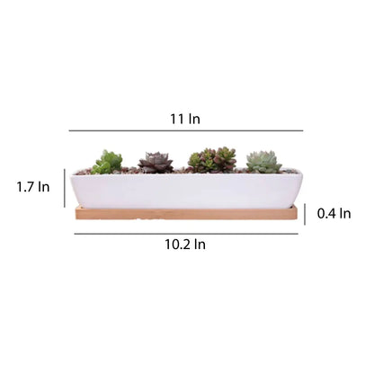 Ceramic Long Succulent Pot
