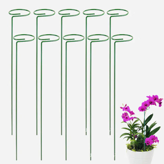 Metal Plant Support
