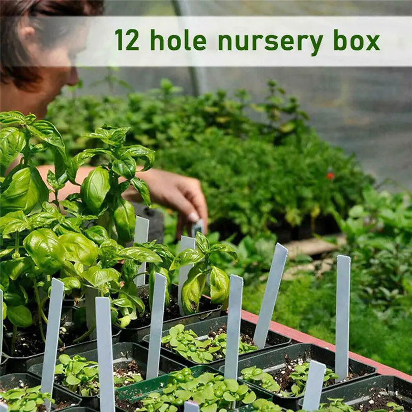 Seedling Starter Kit