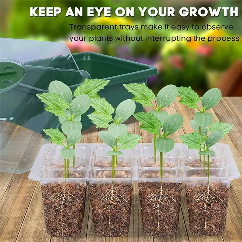 Seedling Starter Kit