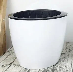 Dino Egg Self-Watering Planter