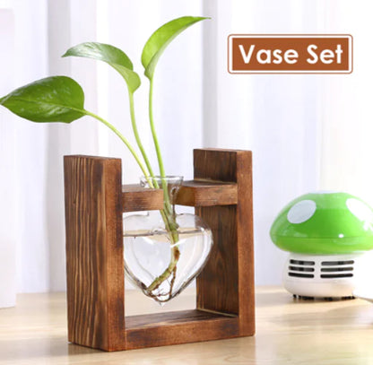 Creative Transparent Plant Medium Wooden Stand with Hydroponic Container
