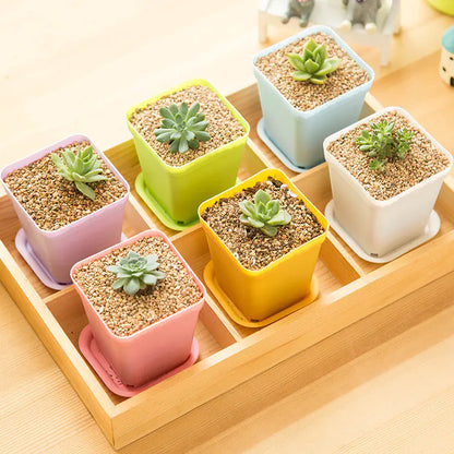 Planter for Gardening