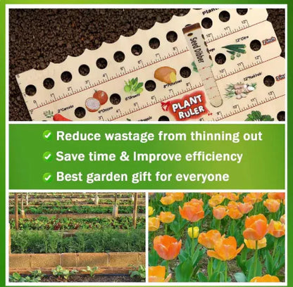 Wooden Seedling Planting Ruler