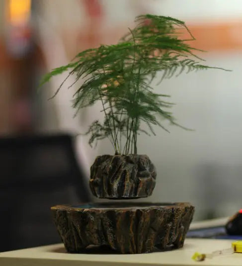 Floating Potted Plant