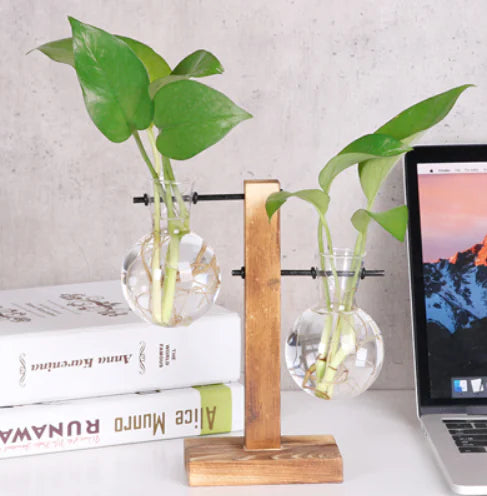 Creative Transparent Plant Medium Wooden Stand with Hydroponic Container