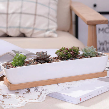 Ceramic Long Succulent Pot