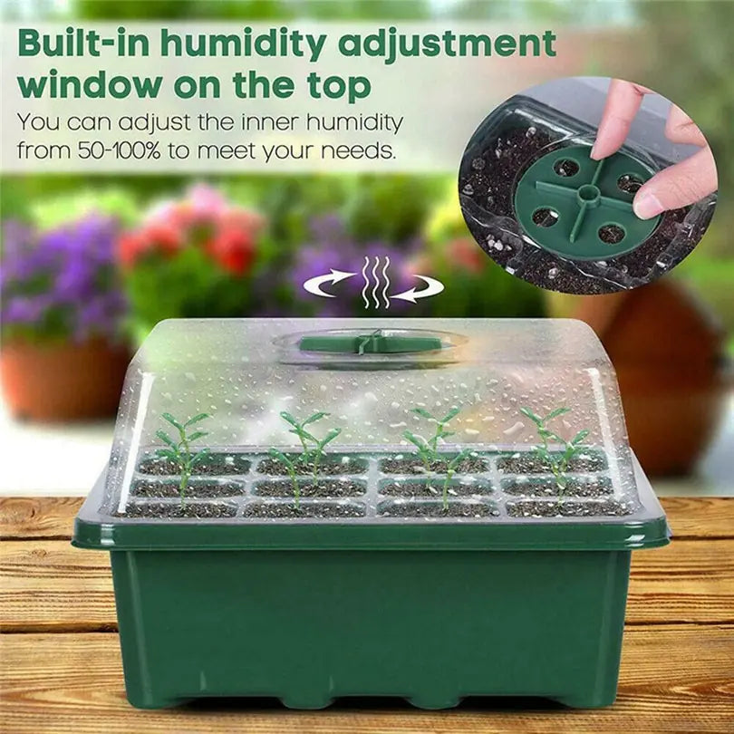 Seedling Starter Kit